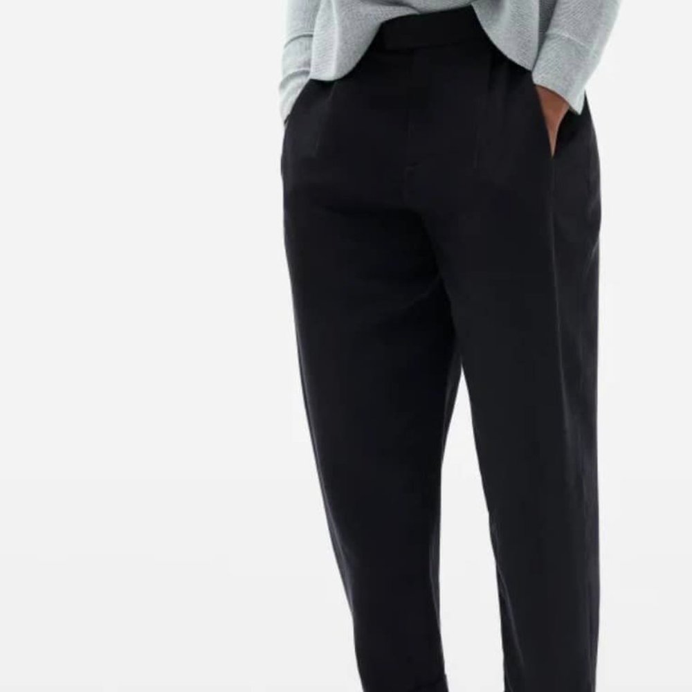 Everlane EUC Put-Together Pleat Pants